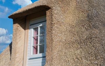 Arthursdale thatch roof disadvantages