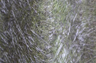 Arthursdale fibreglass roof work